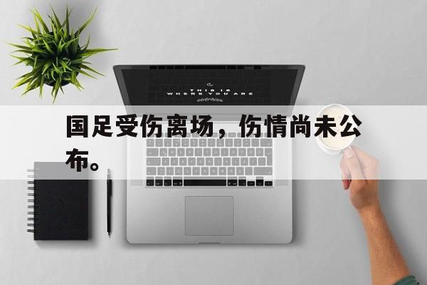 AC Milan Sports-国足受伤离场，伤情尚未公布。
